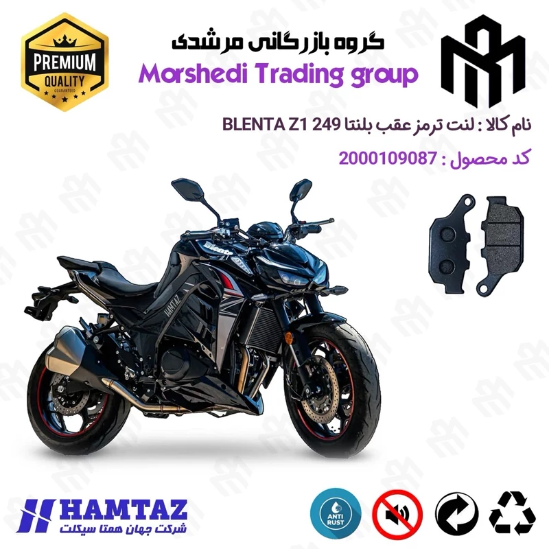 لنت دیسکی ترمز عقب موتور سیکلت کد 123055 مناسب برای بلنتا زد1 BLENTA Z1 249 (طرح Z1000) همتاز موتور