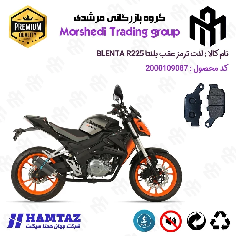 لنت دیسکی ترمز عقب موتور سیکلت کد 123055 مناسب برای بلنتا آر BLENTA R 225 همتاز موتور