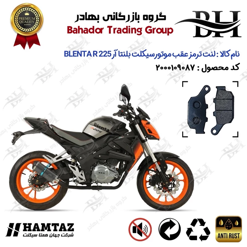 لنت دیسکی ترمز عقب موتورسیکلت کد 2055 مناسب برای بلنتا آر 225 BLENTA R225 همتاز موتور